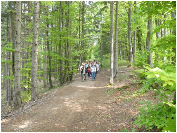 584x433 pixels (177K)